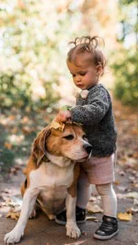 5 raças de cachorros ideais para crianças