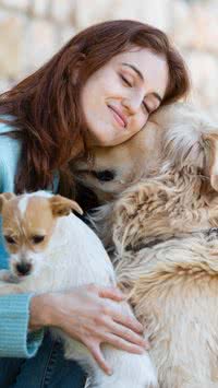 Saiba quais são os 5 animais perfeitos para se ter em apartamento