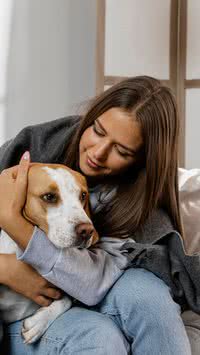Confira 6 cuidados fundamentais que você deve ter com o pet