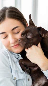 Veja 5 dicas de como entender melhor o seu cachorro