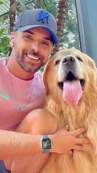 Após morte de cachorro, Câmara aprova transporte de pets nas cabines de aviões; confira