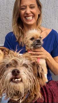 Feira de adoção de animais resgatados no Rio Grande do Sul será realizada por Luisa Mell