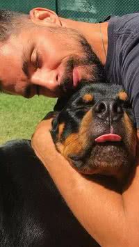 Cachorro de Cauã Reymond morre após ser envenenado