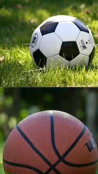 Futebol ou basquete? Conheça qual esporte que mais rende dinheiro no mundo