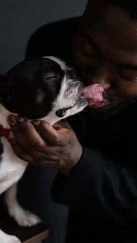 Lambeijos perigosos? Saiba quais doenças a saliva do cachorro pode transmitir