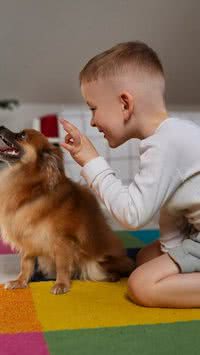 Bebê em casa? Confira 5 dicas de adaptação entre pets e crianças