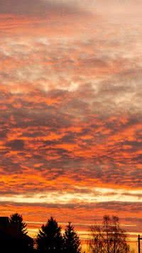 Céu colorido: entenda como o sol laranja pode ser um sinal ruim