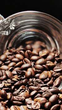 Conheça os tipos de cafés e suas diferenças