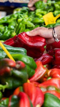 Entenda de uma vez por todas como escolher vegetais no mercado