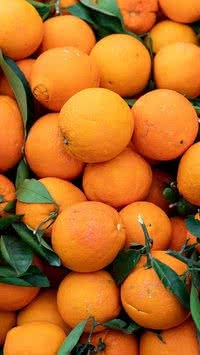 Por que comer laranja todos os dias faz bem ao corpo e à mente
