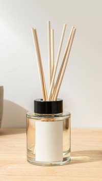 Aprenda por que tanta gente está trocando os aromatizadores por essa mistura caseira de 7 gotas