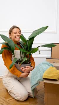 Confira as melhores plantas para evitar mofo em casa