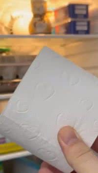 Papel higiênico dentro da geladeira? Entenda o motivo