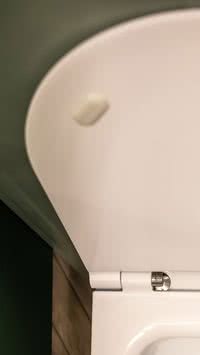 Descubra o jeito rápido de deixar a privada limpa e livre de calcário usando um produto inesperado