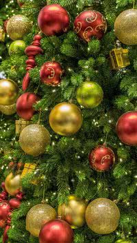Qual o dia certo para montar e desmontar árvore de Natal?