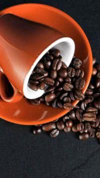 Consumo excessivo de café pode afetar saúde do intestino