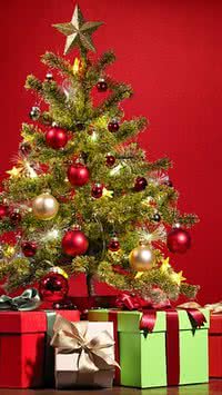 Dicas de produtos econômicos para presentear neste natal