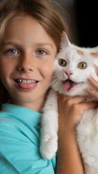 Dicas para uma boa convivência entre gatos e crianças
