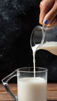 Aprenda qual tipo de leite é o mais leve, o mais proteico e o ideal para o seu corpo