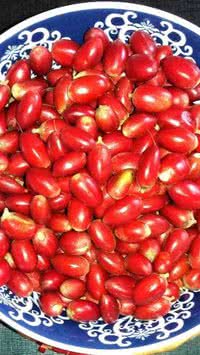 Saiba o que é a "fruta dos milagres"