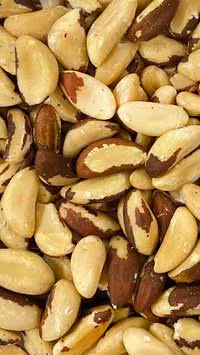 Comer muita Castanha-do-Pará faz mal? Veja quantidade ideal