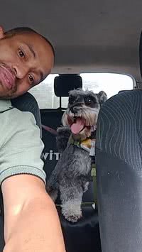 Após superar a ansiedade trabalhando como táxi dog, homem precisa de ajuda para comprar novo carro após acidente