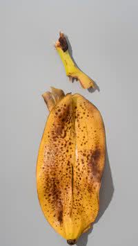 Aprenda por que ferver casca de banana virou o hábito favorito de quem quer dormir melhor