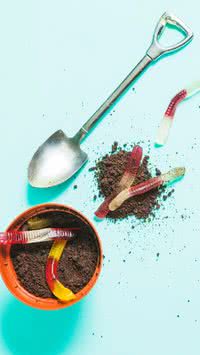 Veja ingredientes da cozinha para utilizar como adubo