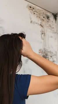 Mofo no teto? Diga adeus à umidade com esses 4 truques infalíveis!