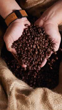 Alerta da Anvisa: 3 Marcas de Café Populares São Retiradas do Mercado por Risco à Saúde!