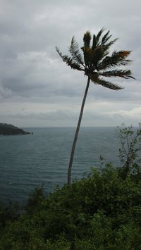 Novo ciclone extratropical avança pelo Brasil com ventos de até 70 km/h e traz “frio de renguear” para várias regiões do país