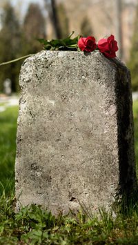 Quais as 10 principais causas de morte no mundo?
