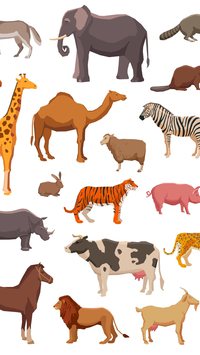 7 curiosidades sobre animais que você precisa saber