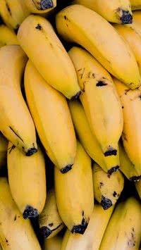 Descubra por que suas bananas estão estragando rápido (e como evitar isso de vez)
