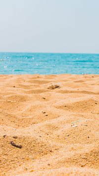 Por que levar areia da praia para casa é crime?