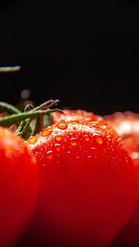 Pode congelar tomate inteiro? Veja se afeta o sabor e a textura