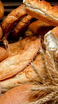 Aprenda a escolher o pão ideal para controlar a pressão alta sem abrir mão do alimento