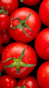 Tomate mais saboroso? Aprenda o truque de esperar alguns minutos antes de consumi-lo