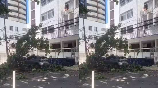 Reprodução/ Vídeo