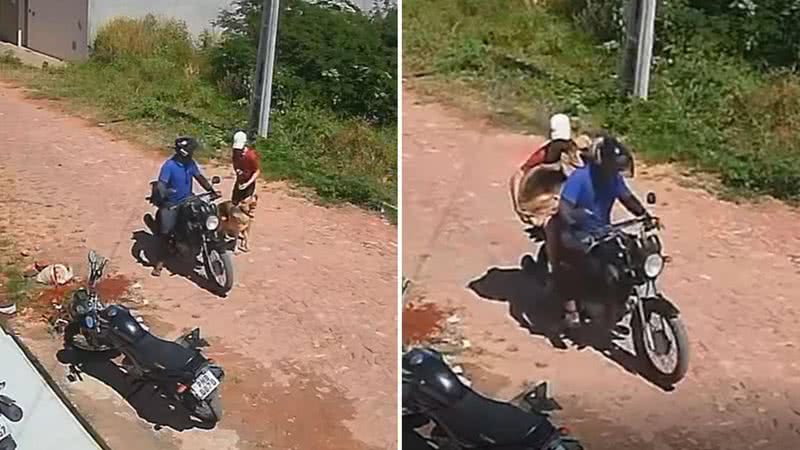 Reprodução / Vídeo