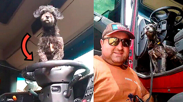 Reprodução / TikTok