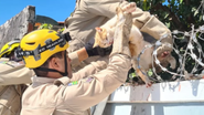 Corpo de Bombeiros / Divulgação