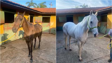 Divulgação / PC-SP