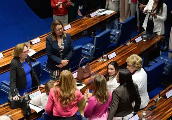 Jonas Pereira/Agência Senado