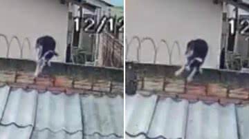 Reprodução/Redes Sociais