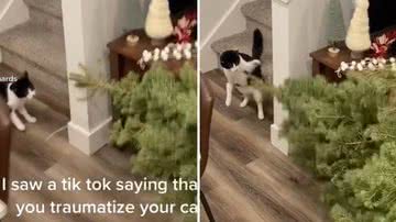 Reprodução/Redes Sociais