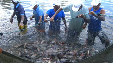 Divulgação Bahia Pesca