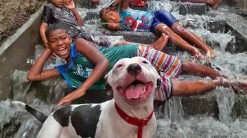 Carla Vieira (Arquivo pessoal)