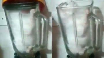 Reprodução/Redes Sociais