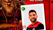 Divulgação